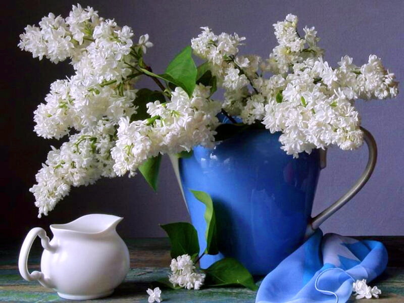 White Lilac Flowers — Serene, Photograph, Blue Pitcher