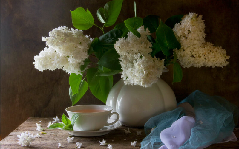 White Lilac Flowers — Serene, Photograph, Vase
