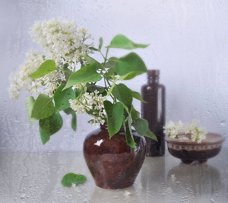 White Lilac in Vase