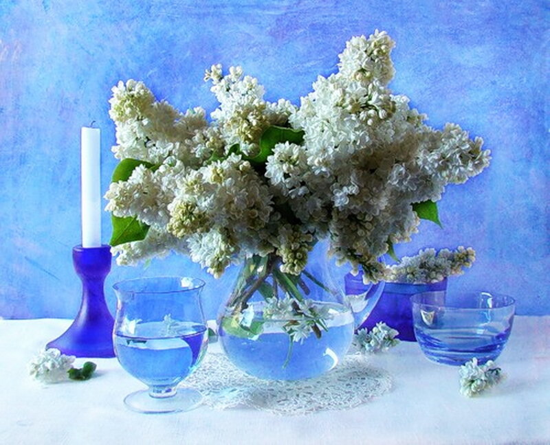 white lilacs in blue vase