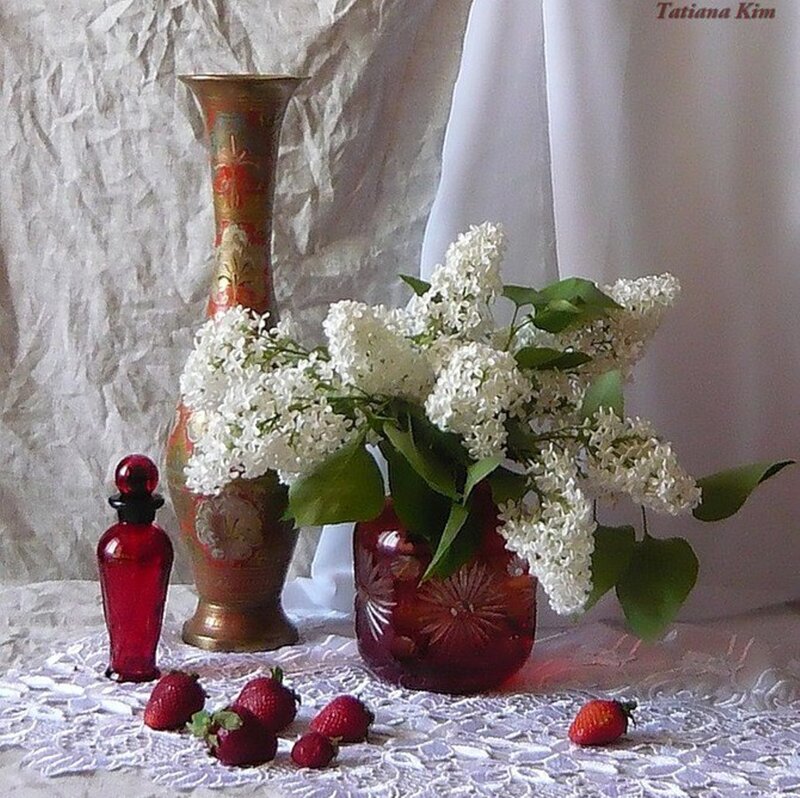 White Lilacs in Vase — Red