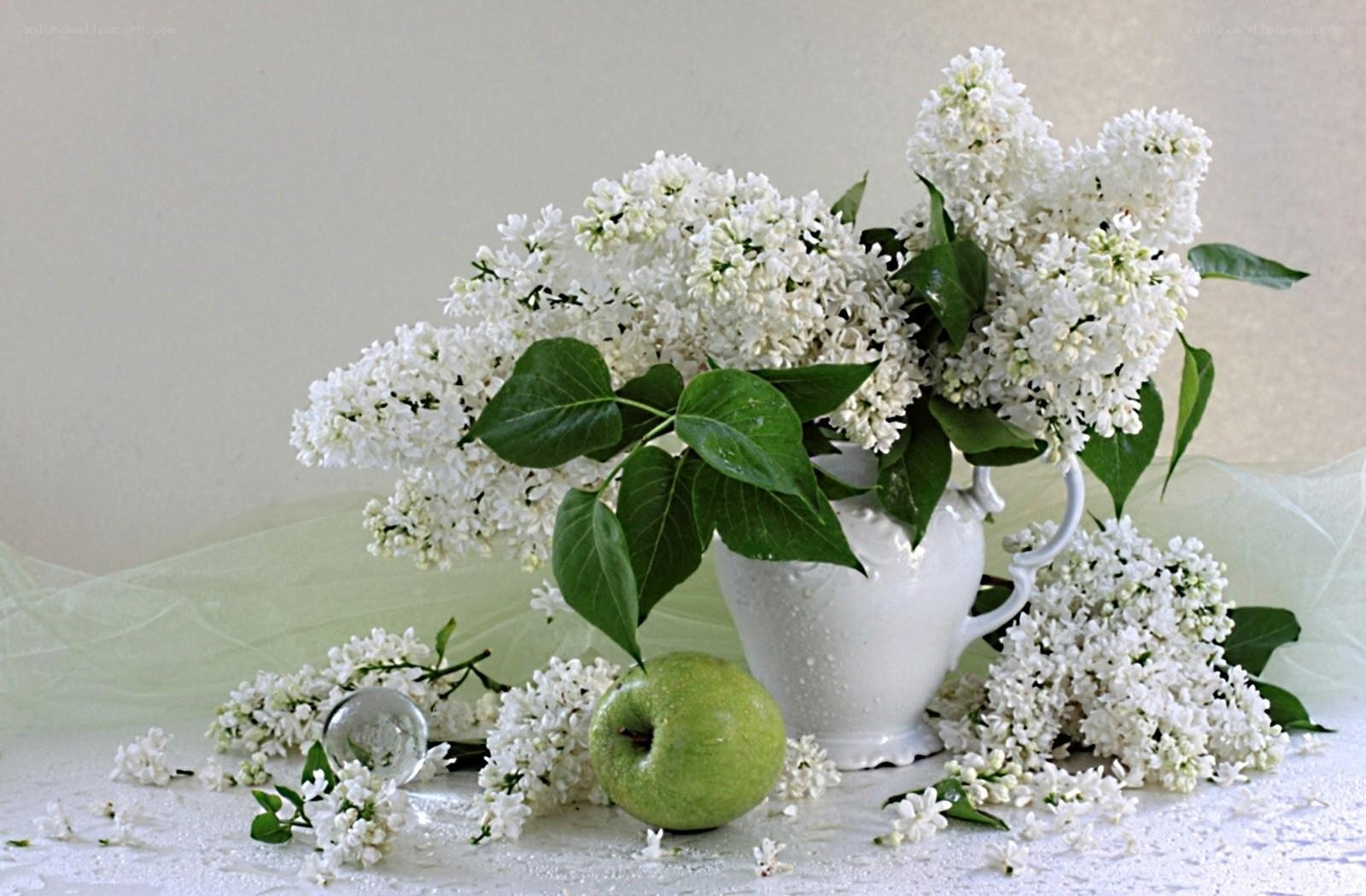 White lilacs with green apple
