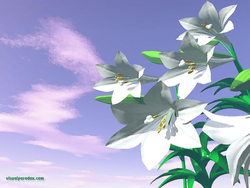 white lilies against purple sky
