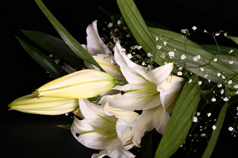White Lilies and Baby's Breath