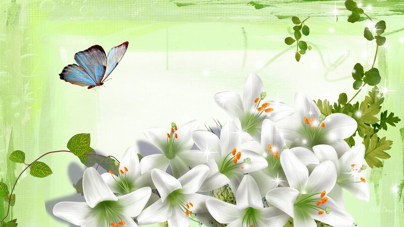 White Lilies and Blue Butterfly