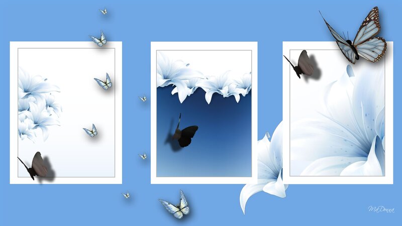 White Lilies and Butterflies — Blue, Serene