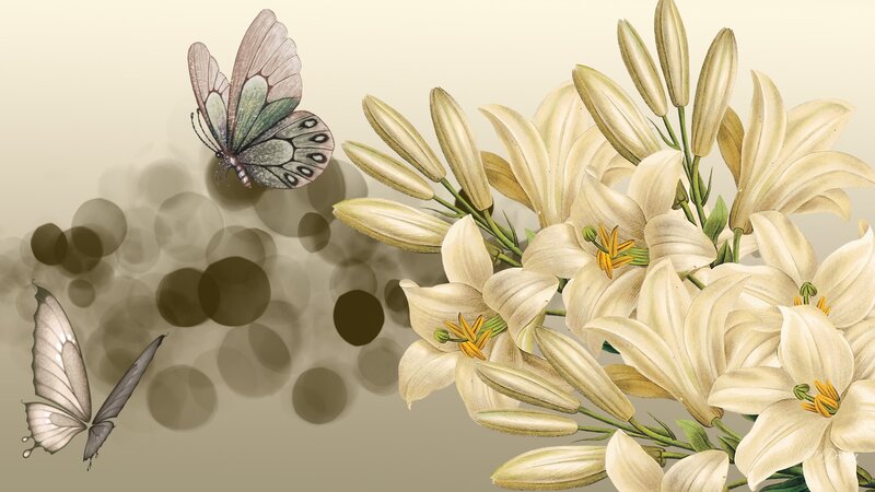 White Lilies and Butterflies — Cream