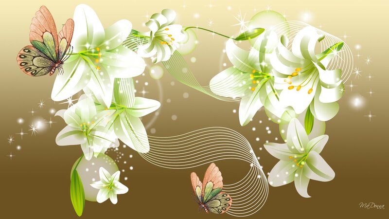 White Lilies and Butterflies