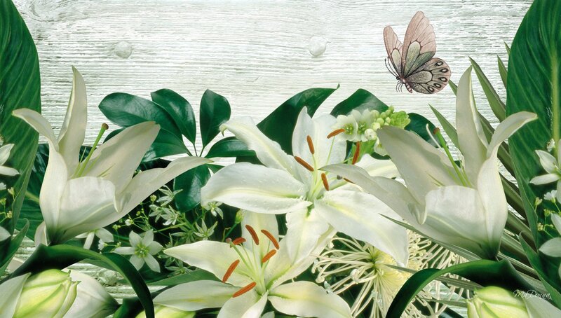 White Lilies and Butterfly — Serene