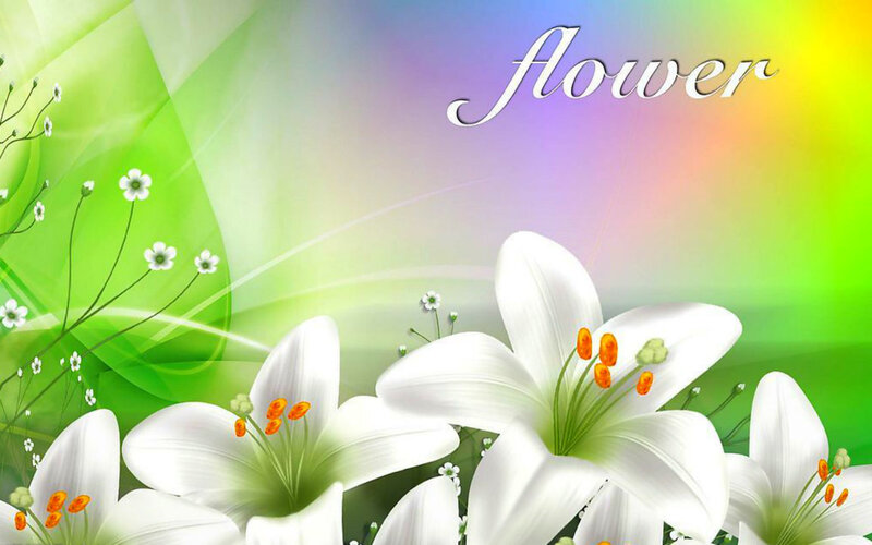 White Lilies and Green Leaves — Serene