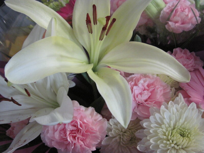 White Lilies and Pink Carnations
