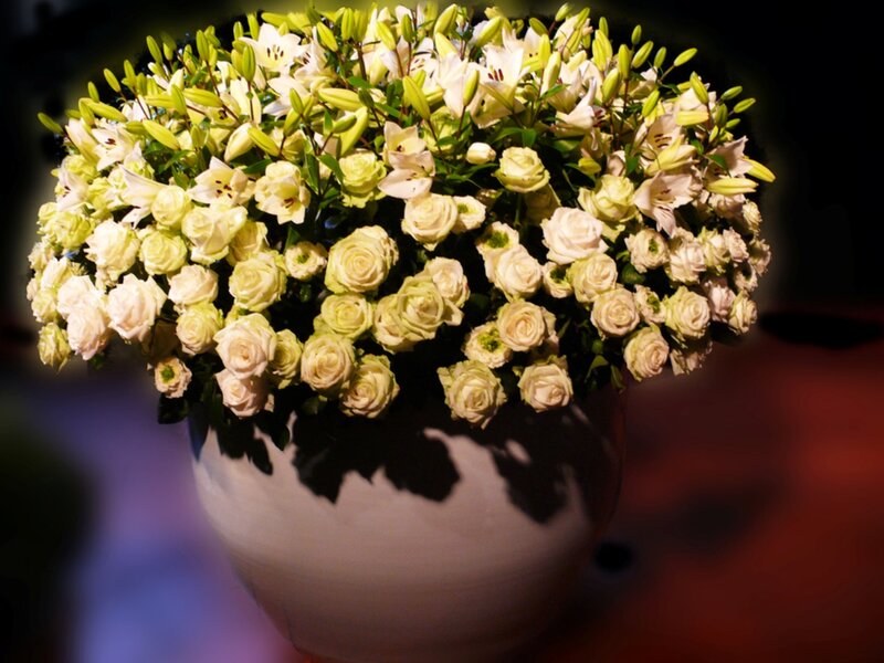 White Lilies and Roses — Calm