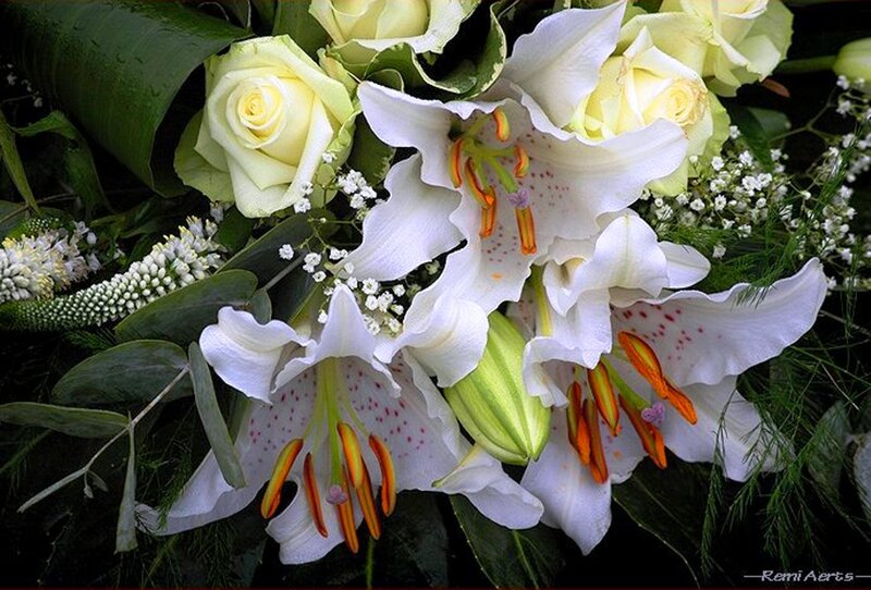 White Lilies and Roses — Serene, Photograph