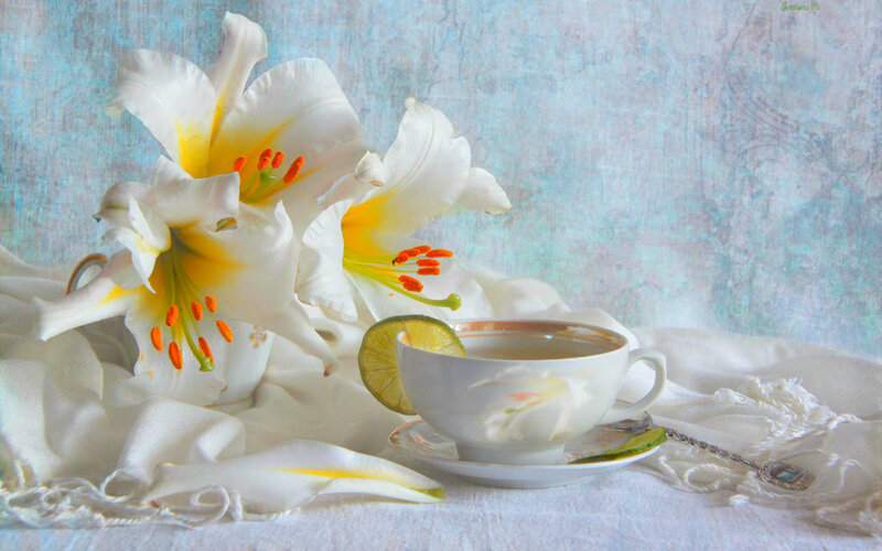 White Lilies and Tea Cup — Serene