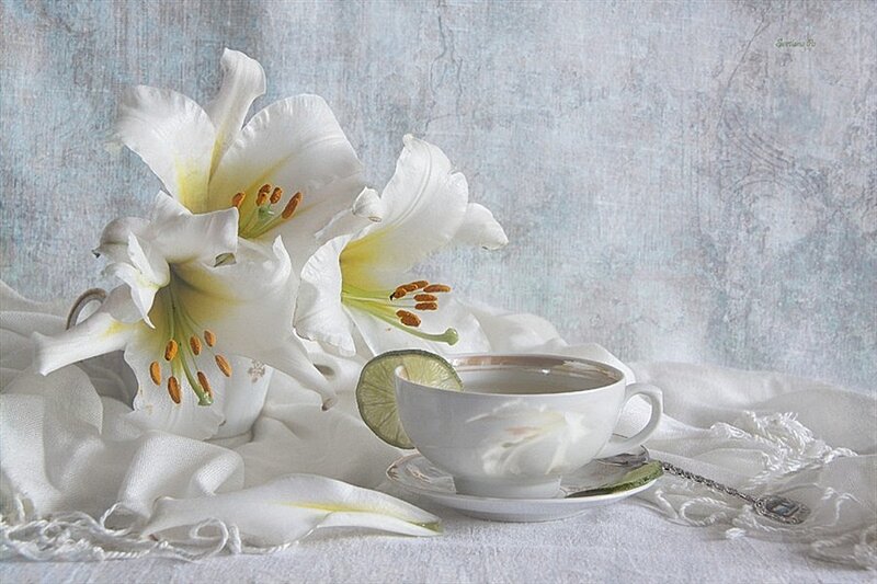 White Lilies and Tea Cup
