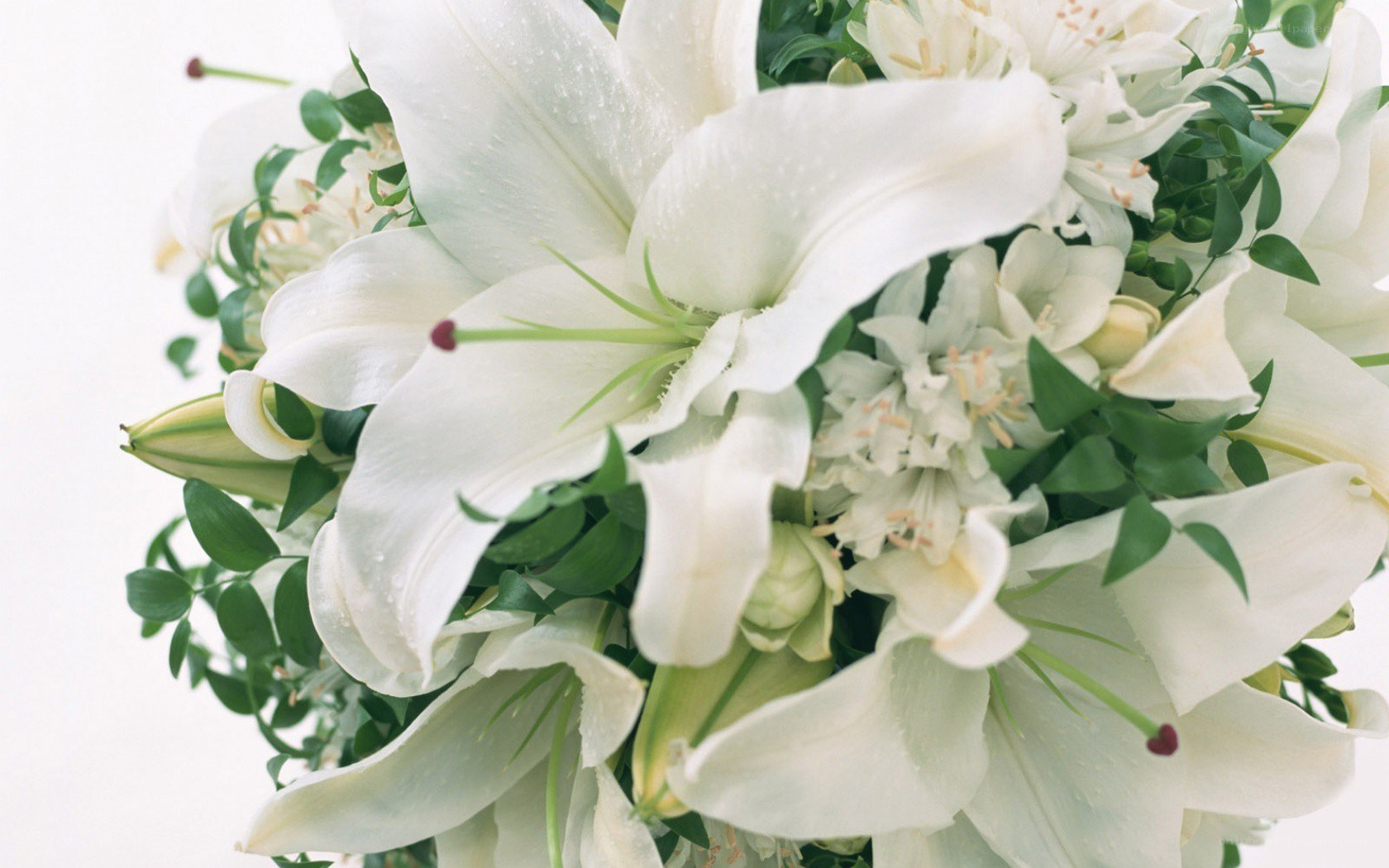 white lilies bouquet