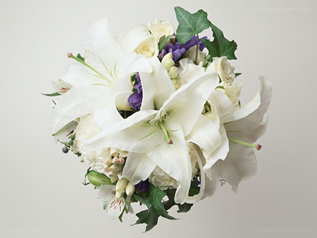 white lilies bouquet