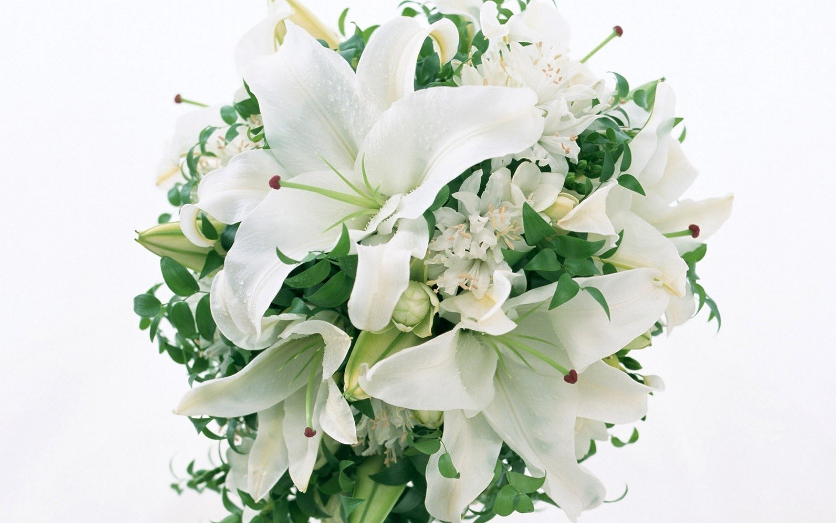 white lilies bouquet