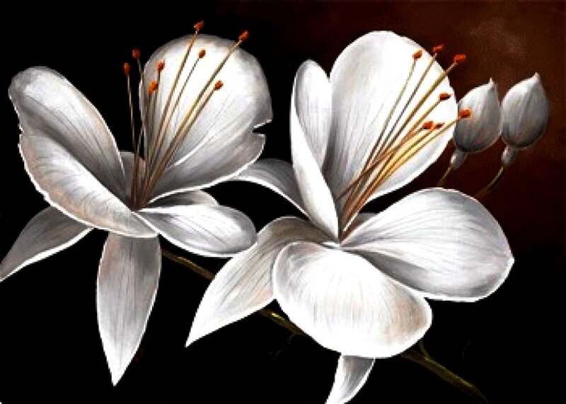 White Lilies Flowers