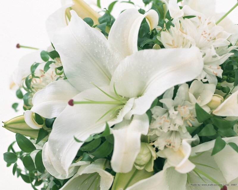 White lilies in a bouquet