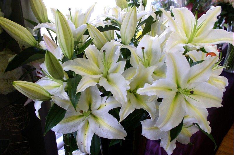 White lilies in a bouquet