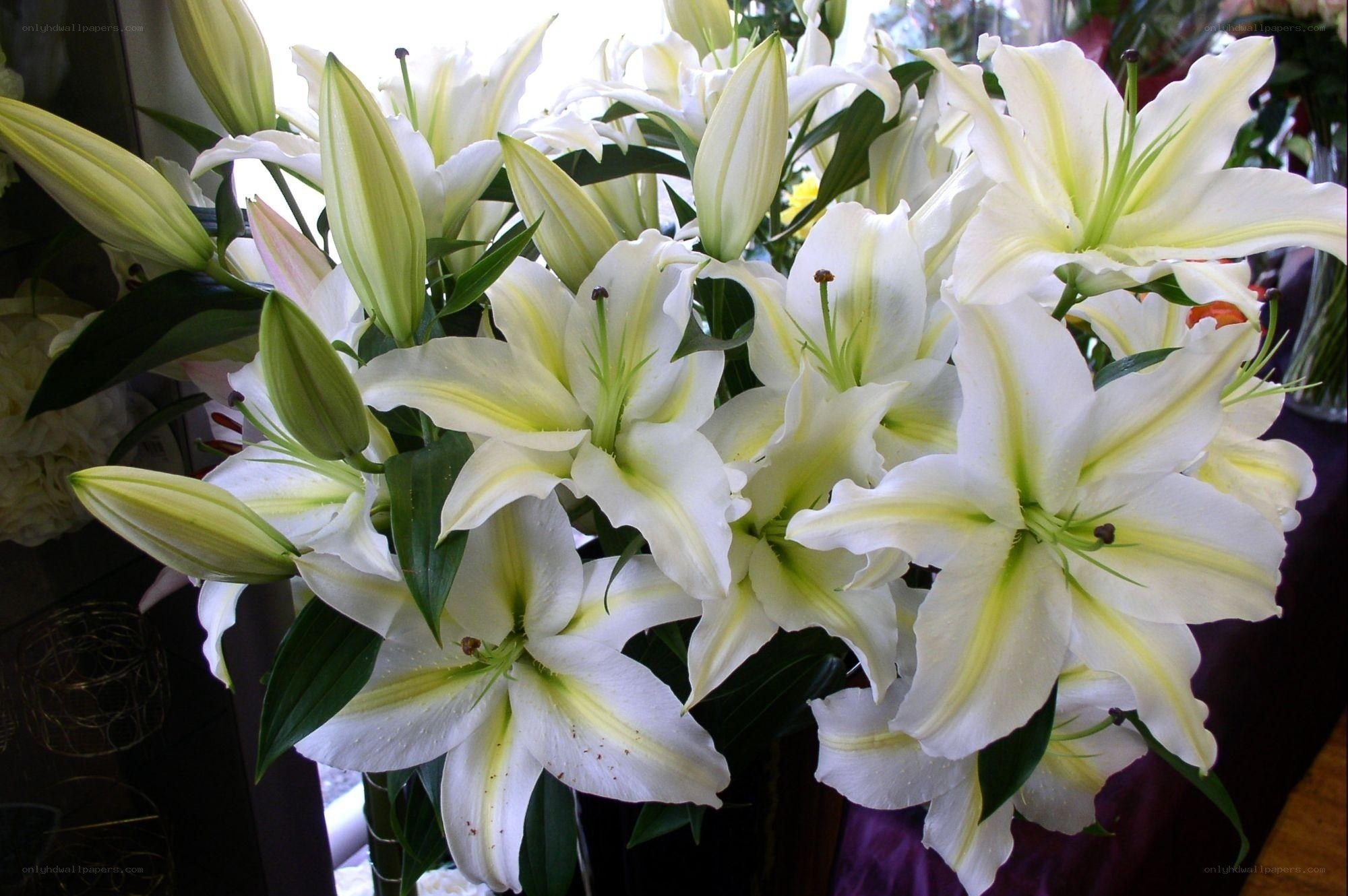 White lilies in a bouquet