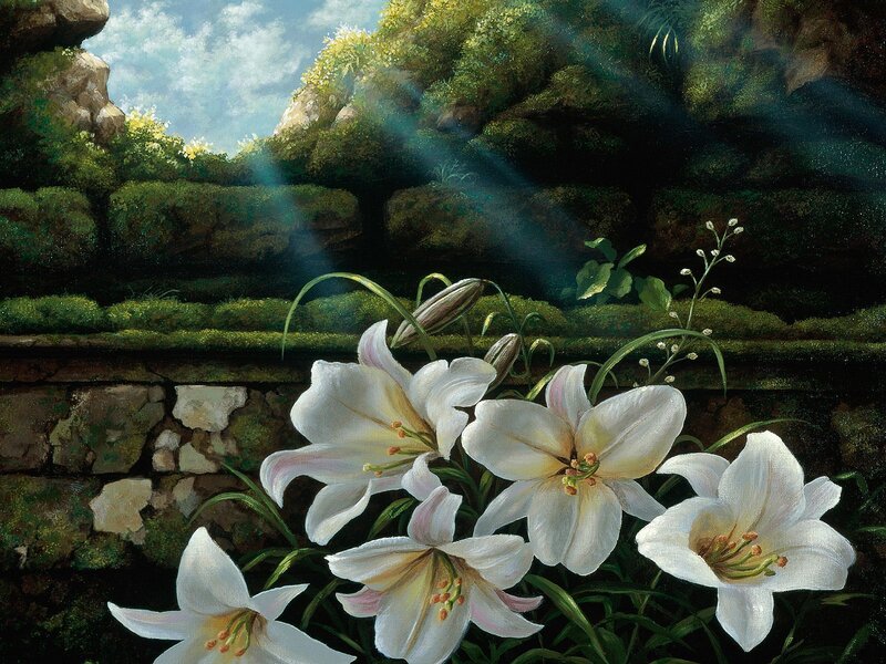 White lilies in a garden