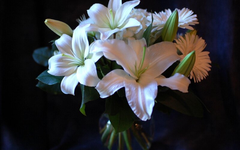 White Lilies in Bouquet — Dramatic