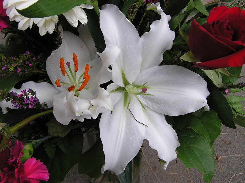 White Lilies in Bouquet