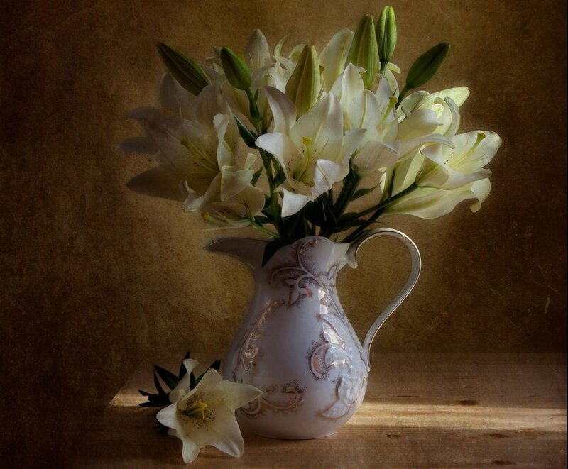 White Lilies in Pitcher