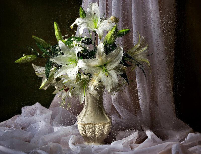 White Lilies in Vase — Dramatic, Photograph