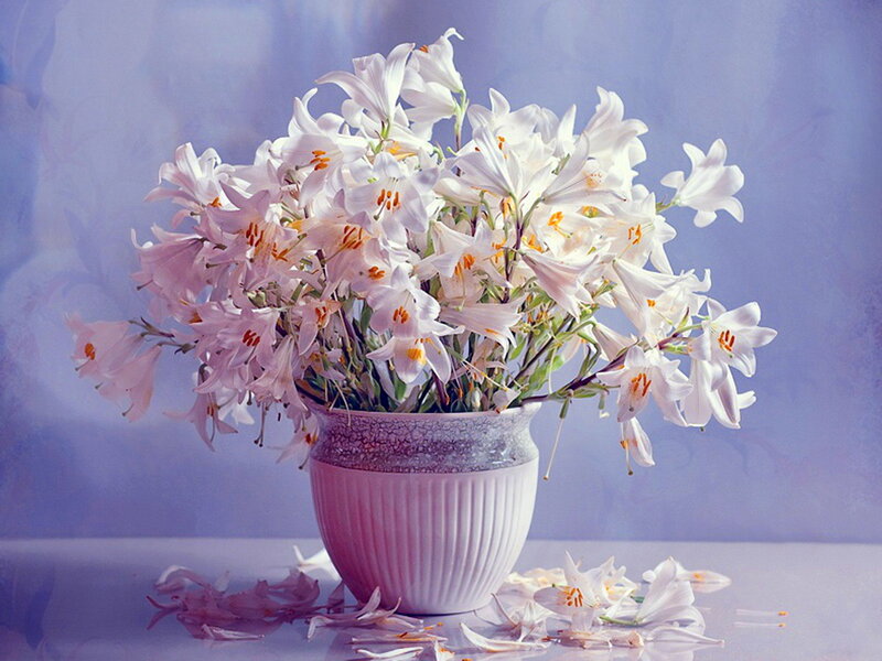 White Lilies in Vase — Purple, Serene