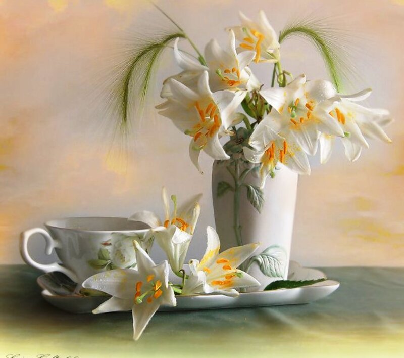 White Lilies in Vase — Serene, Morning