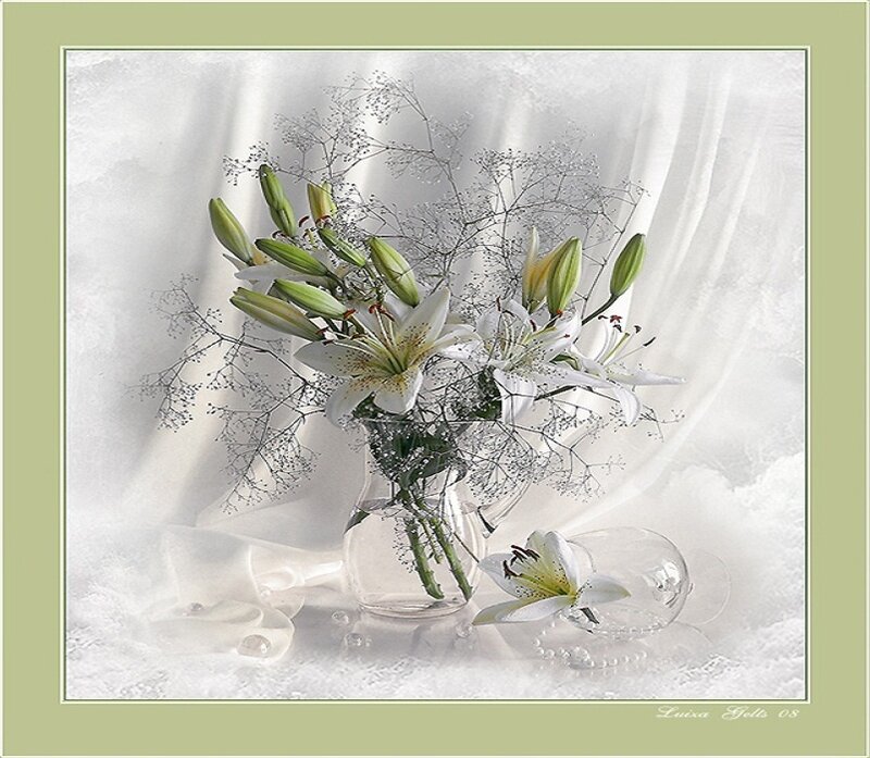 White Lilies in Vase — Serene, Photograph
