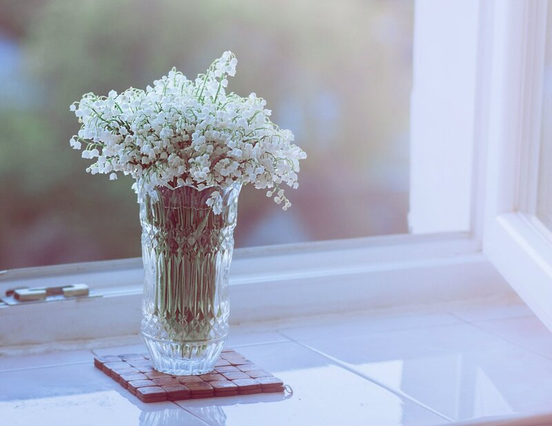 White Lilies of the Valley