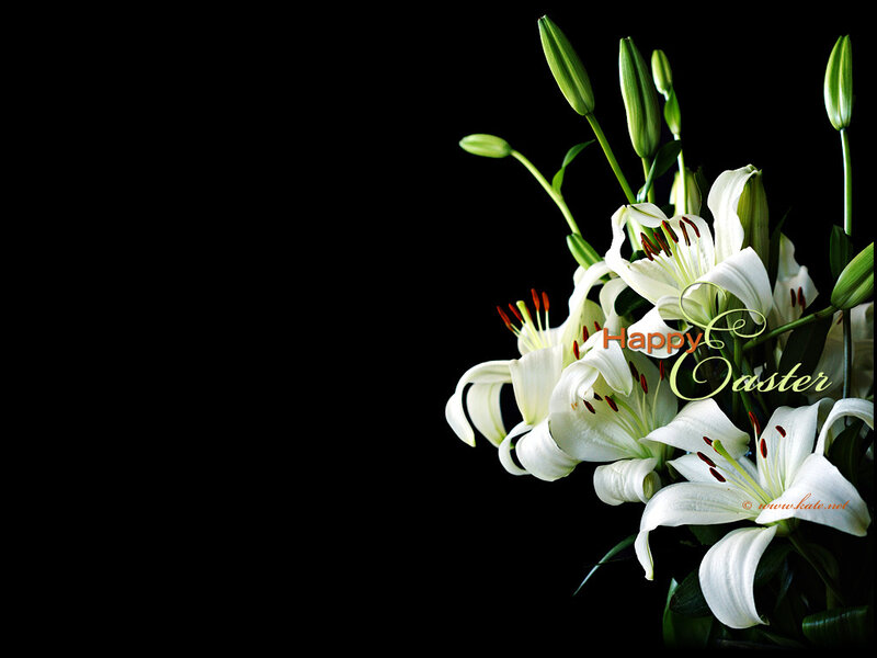 White Lilies on Black