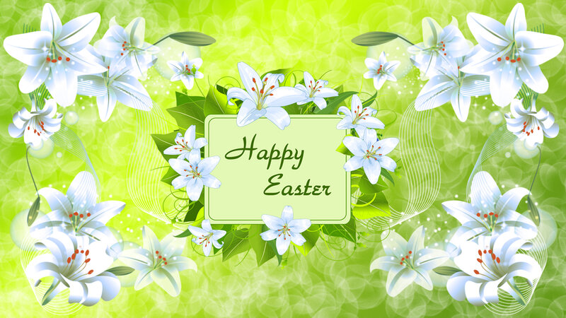 White Lilies on Green Background