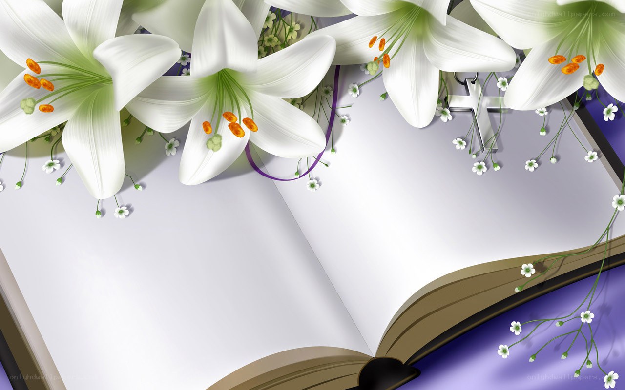 white lilies on open book