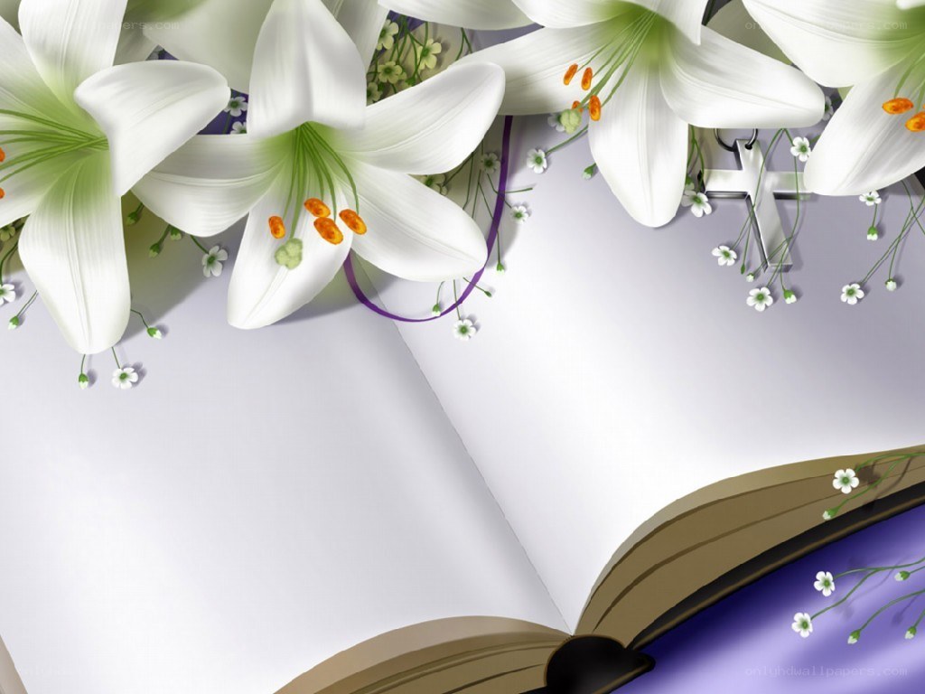 white lilies on open book