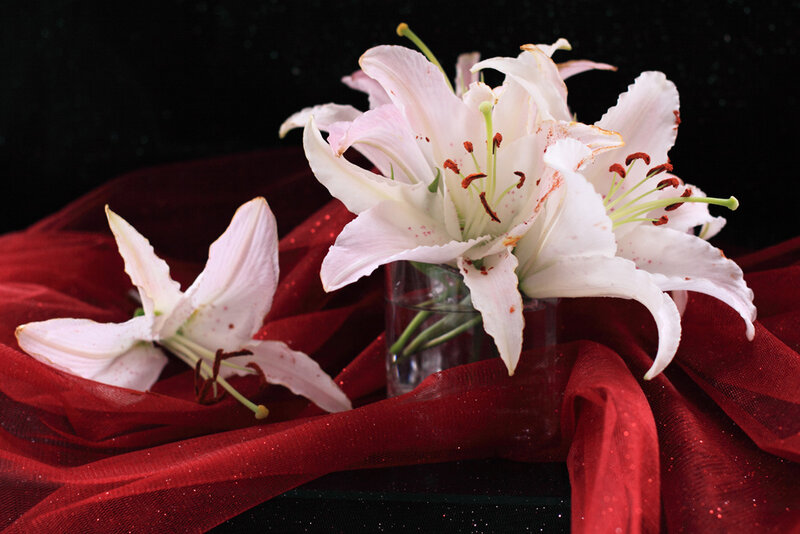 White Lilies on Red Fabric