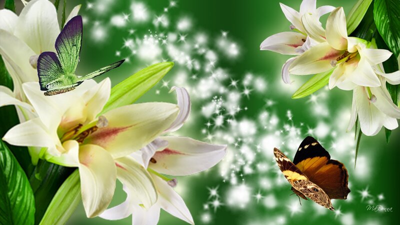 White Lilies with Butterflies — Green