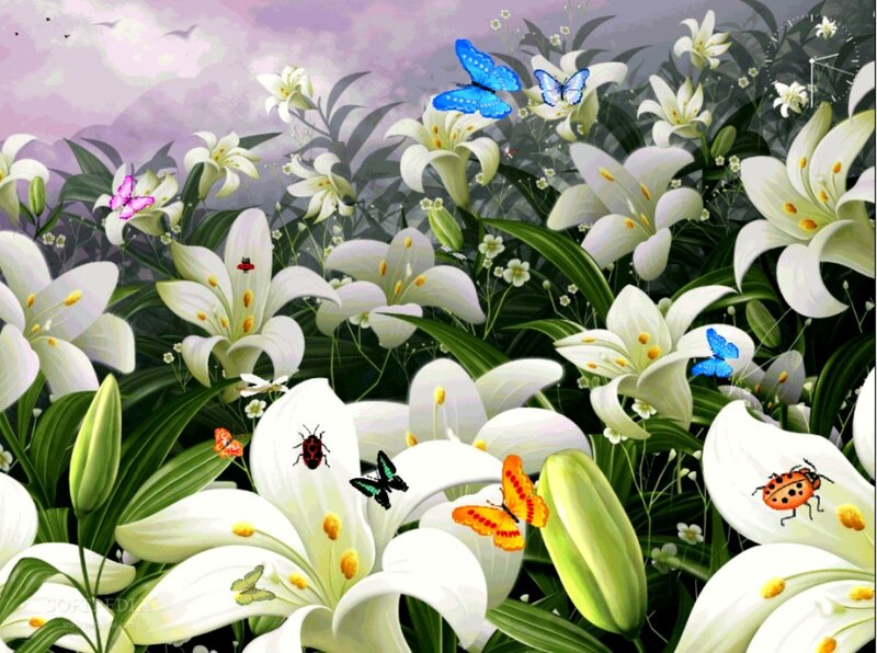 White Lilies with Butterflies — Serene