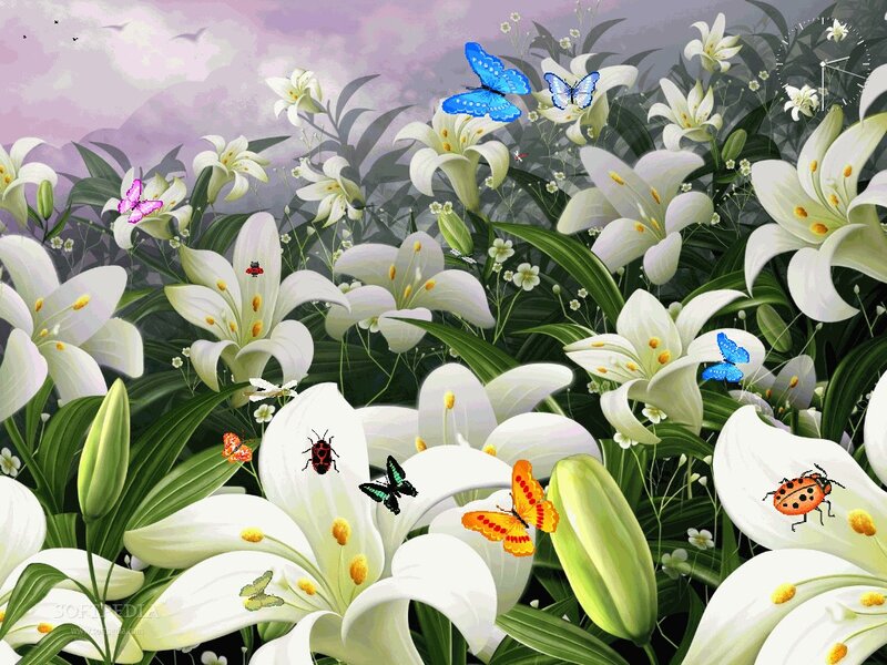 White Lilies with Butterflies