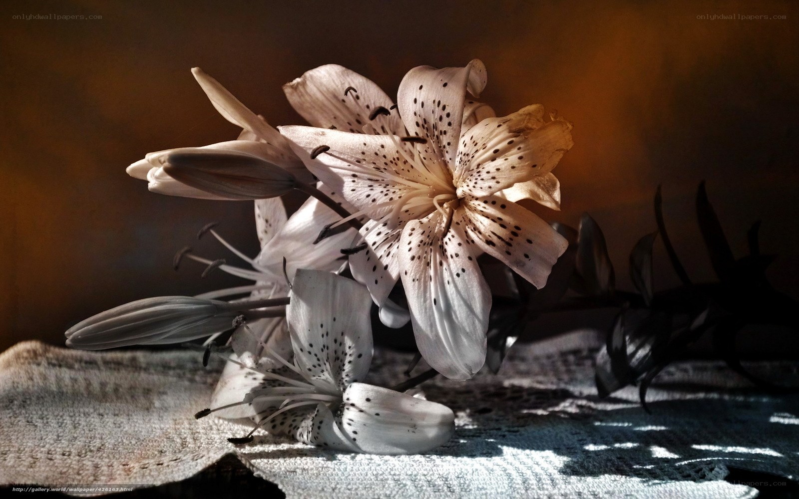 White lilies with dark spots