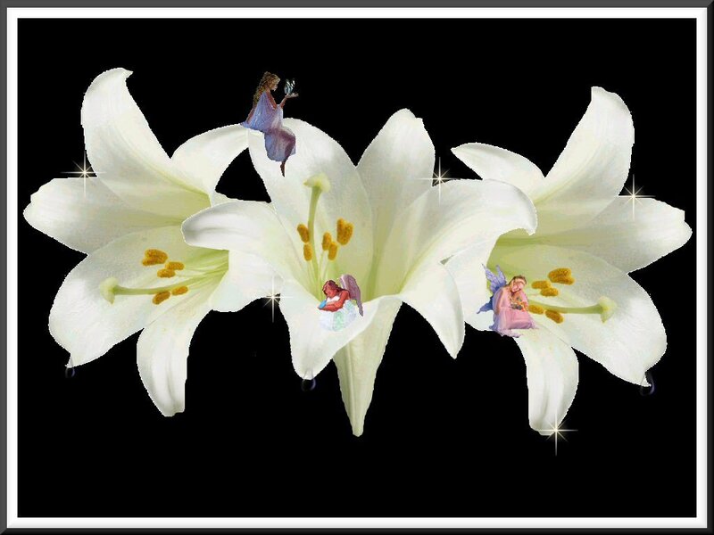 White Lilies with Fairies