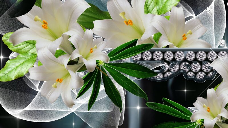 White Lilies with Green Leaves — Elegant
