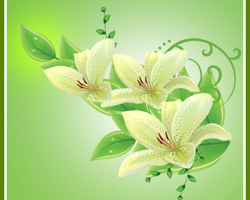 White Lilies with Green Leaves — Serene