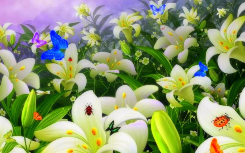 White Lilies with Insects