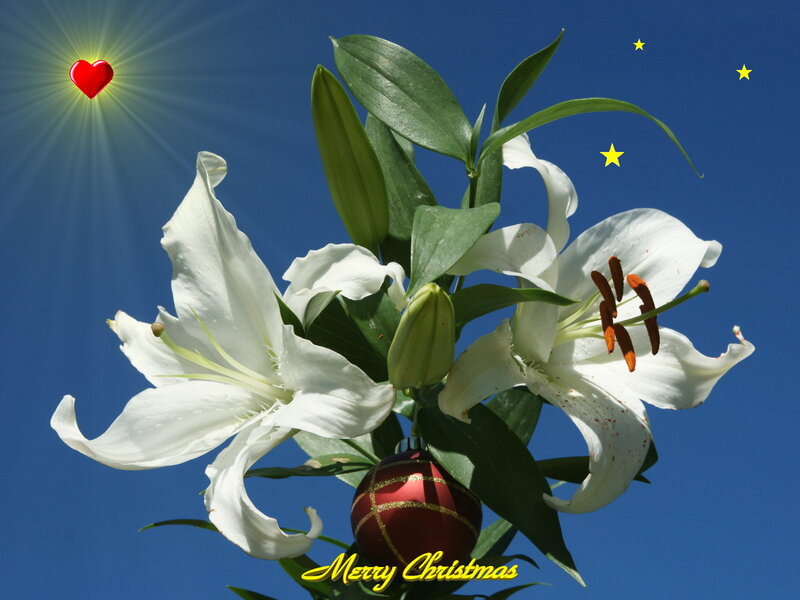 White Lilies with Ornament