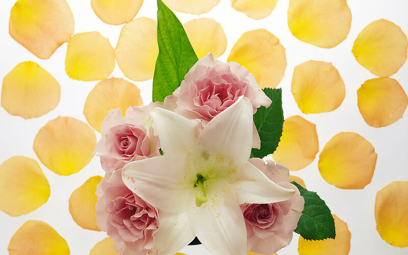 White Lily and Pink Roses